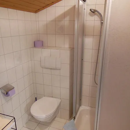 Dirlinger By Schladmingurlaub Daire