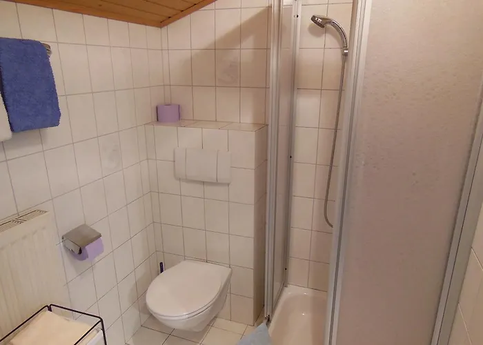 Dirlinger By Schladmingurlaub Apartment