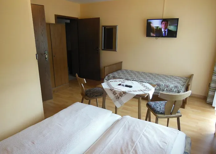 Dirlinger By Schladmingurlaub Apartment Schladming